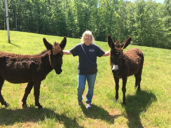Scarlett Mobile Large Animal Services 6