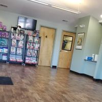 Pointe South Animal Hospital: Coccaro Elisa DVM ico