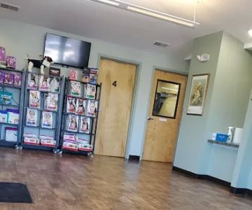 Pointe South Animal Hospital: Coccaro Elisa DVM