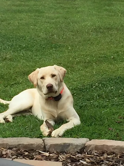 Pointe South Animal Hospital 8
