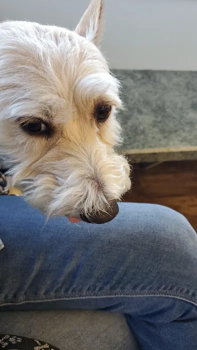 Pointe South Animal Hospital 10