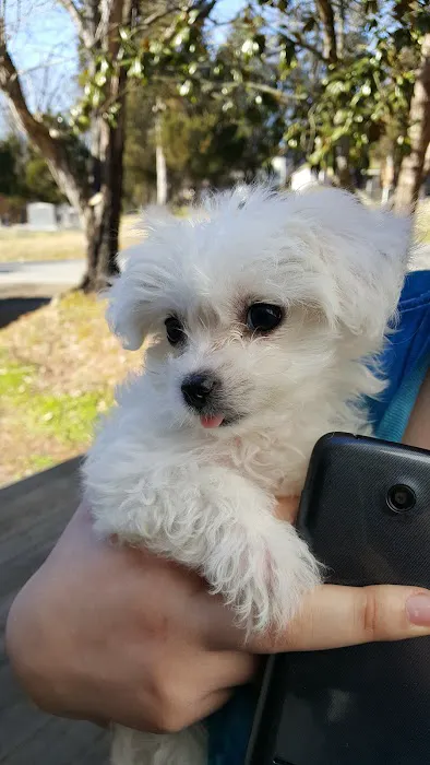 Pointe South Animal Hospital 6