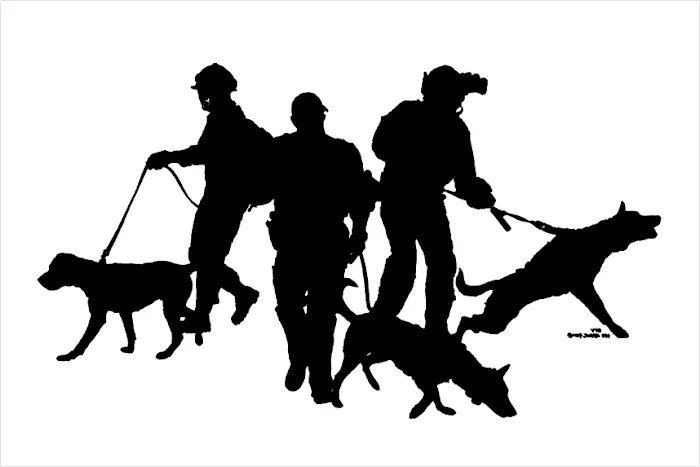 VTG Canine Sports Medicine and Rehabilitation Mobile Clinic 1