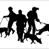 VTG Canine Sports Medicine and Rehabilitation Mobile Clinic ico