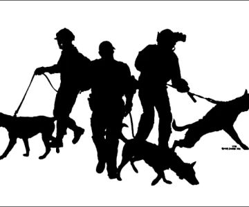 VTG Canine Sports Medicine and Rehabilitation Mobile Clinic