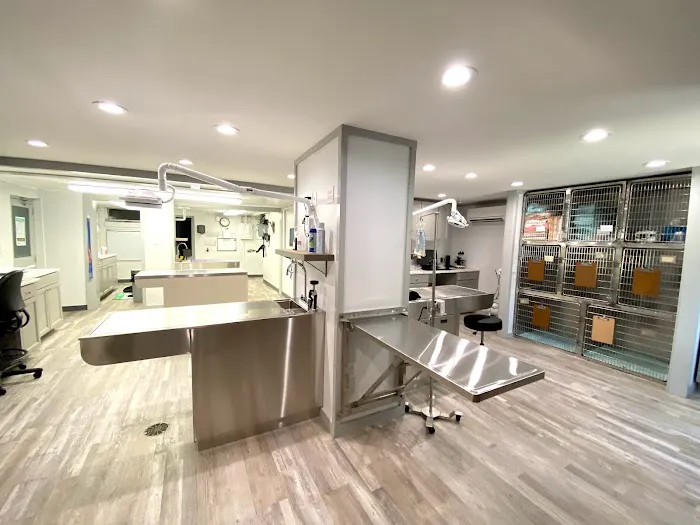 Pinehurst Animal Hospital and Dental Clinic 9