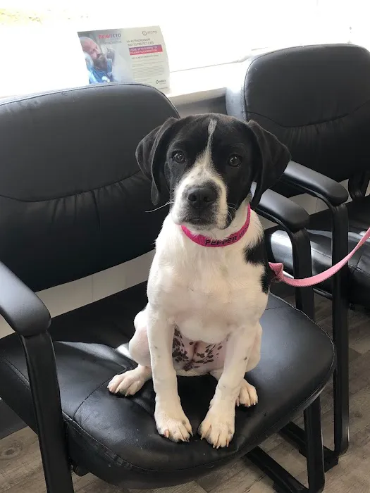Pinehurst Animal Hospital and Dental Clinic 7