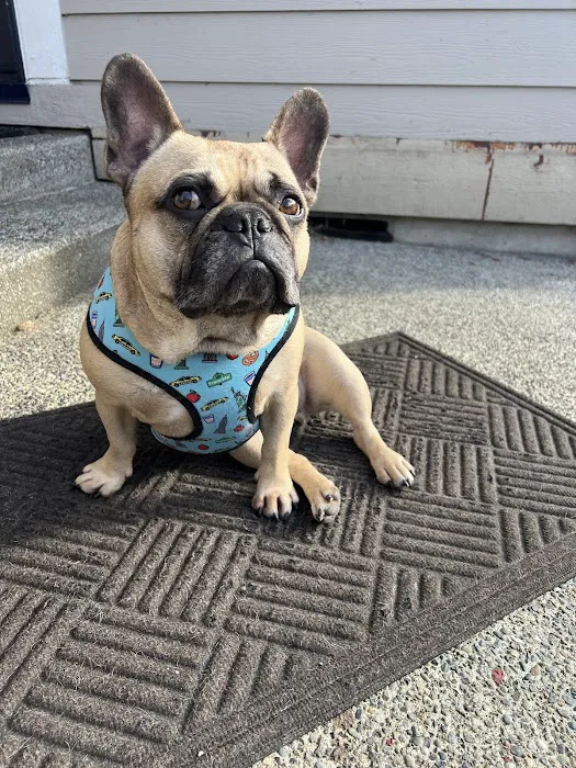 Pinehurst Animal Hospital and Dental Clinic 1
