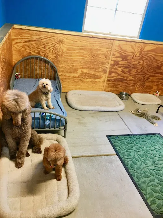 Pinehurst Animal Hospital and Dental Clinic 8