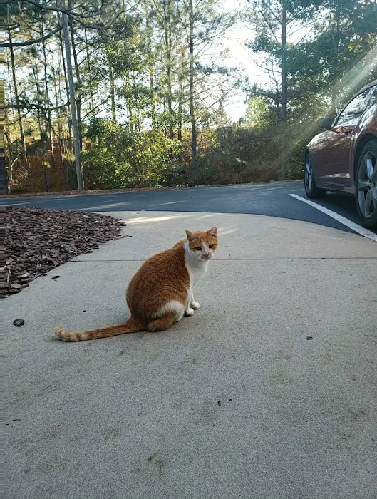 Pinetree Animal Hospital 6