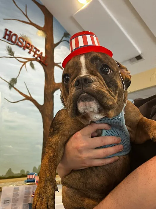 Pinetree Animal Hospital 8