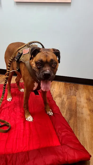 Banfield Pet Hospital 7