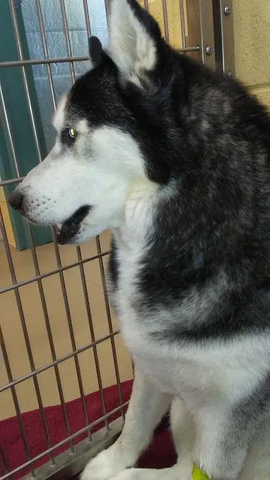 Banfield Pet Hospital 2