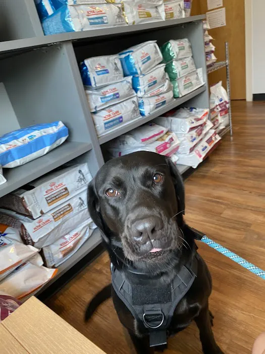 Banfield Pet Hospital 3