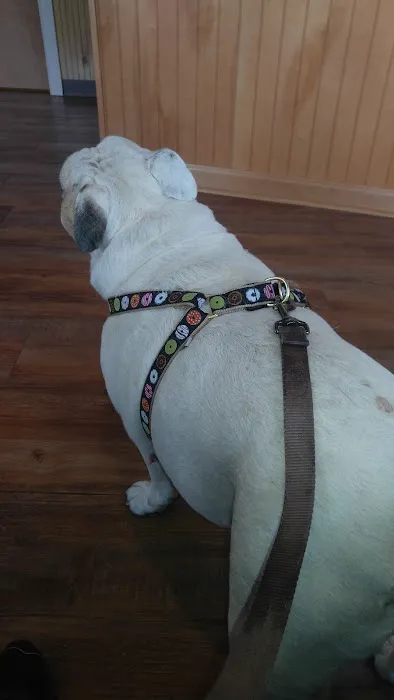 Banfield Pet Hospital 8