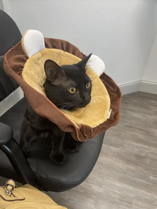 Urgent Vets for Pets 9