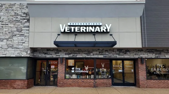 Breckenridge Veterinary 1