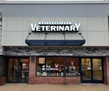 Breckenridge Veterinary