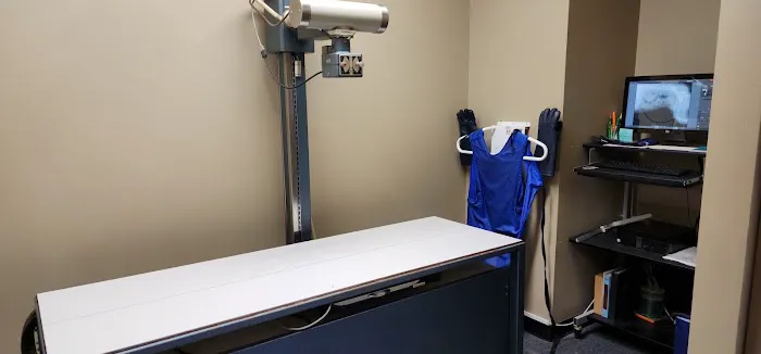 Breckenridge Veterinary 6