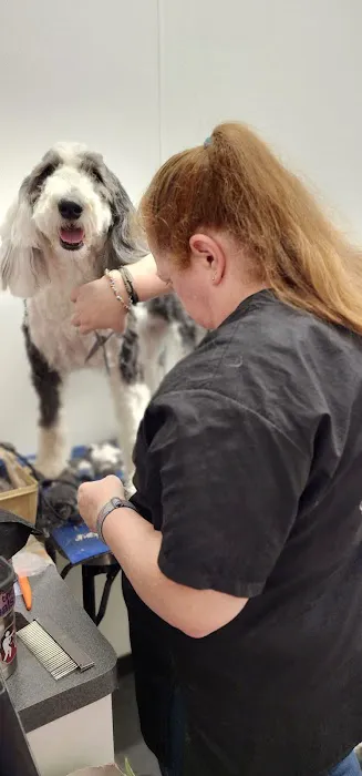 Breckenridge Veterinary 4