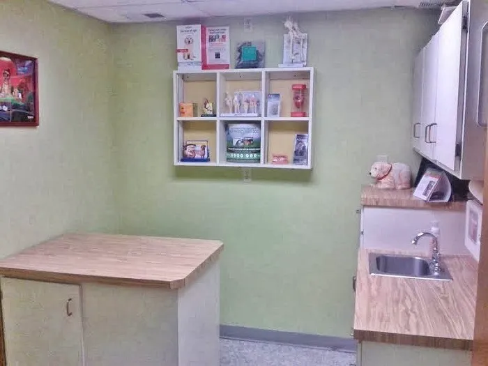 Hermann Companion Animal Hospital 6
