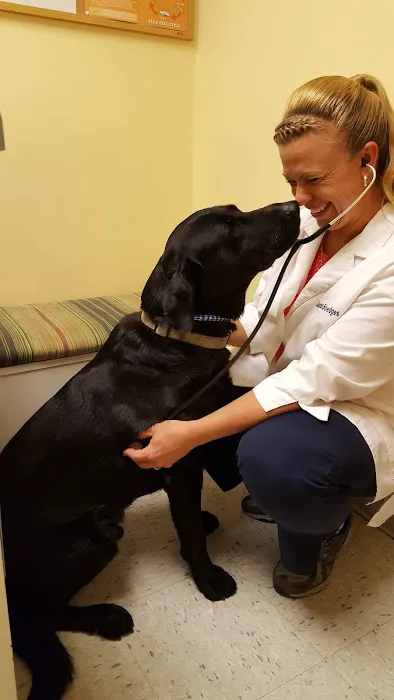 Hermann Companion Animal Hospital 10
