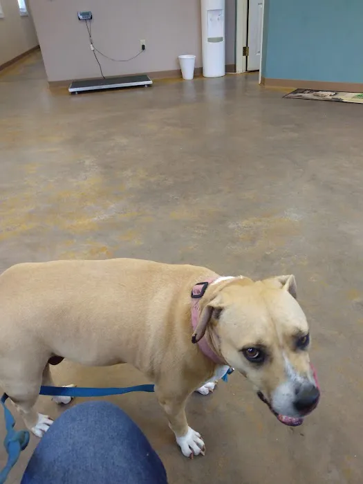 Hermann Veterinary Clinic 6