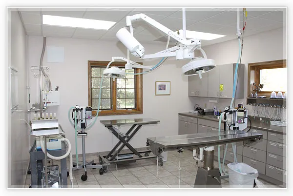 Warrenton Vet Clinic 2
