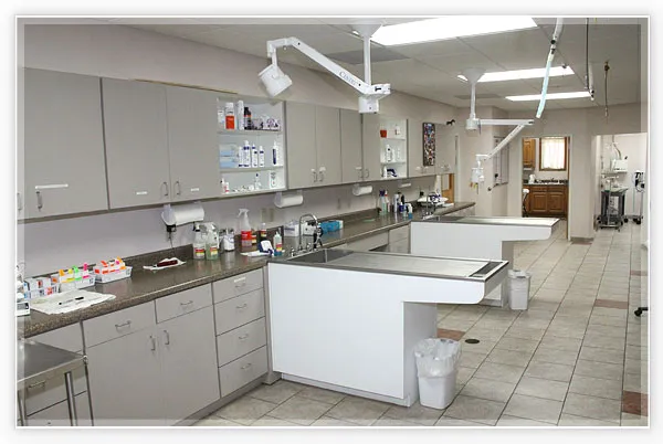 Warrenton Vet Clinic 3