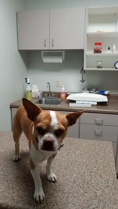 Warrenton Vet Clinic 1