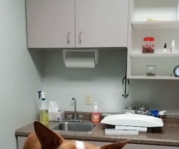 Warrenton Vet Clinic