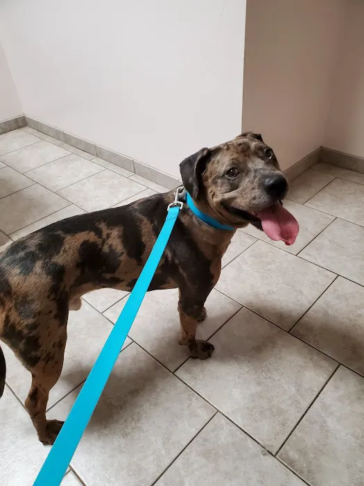 Warrenton Vet Clinic 9