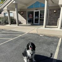 Burch Creek Animal Hospital: Lenner Allison DVM ico