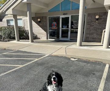 Burch Creek Animal Hospital: Lenner Allison DVM