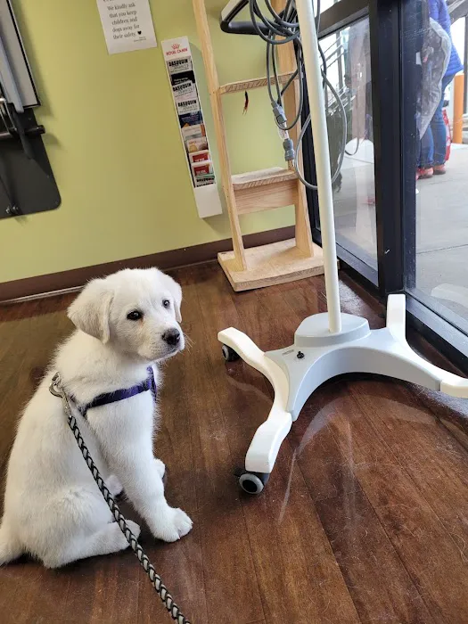 Wasatch Hollow Animal Hospital 4