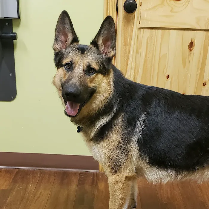 Wasatch Hollow Animal Hospital 7