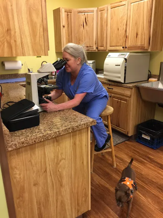 Wasatch Hollow Animal Hospital 2
