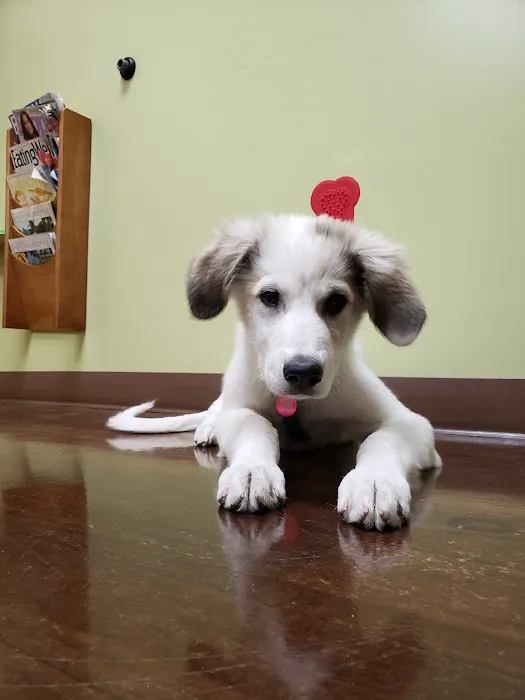 Wasatch Hollow Animal Hospital 1