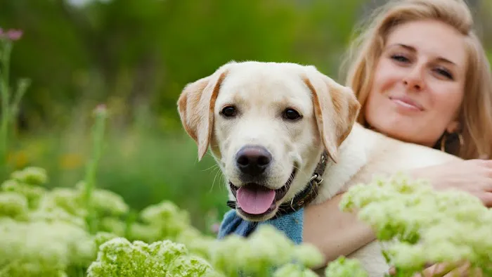 Wasatch Hollow Animal Hospital 3