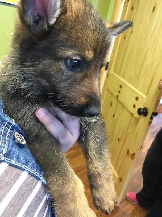 Wasatch Hollow Animal Hospital 10