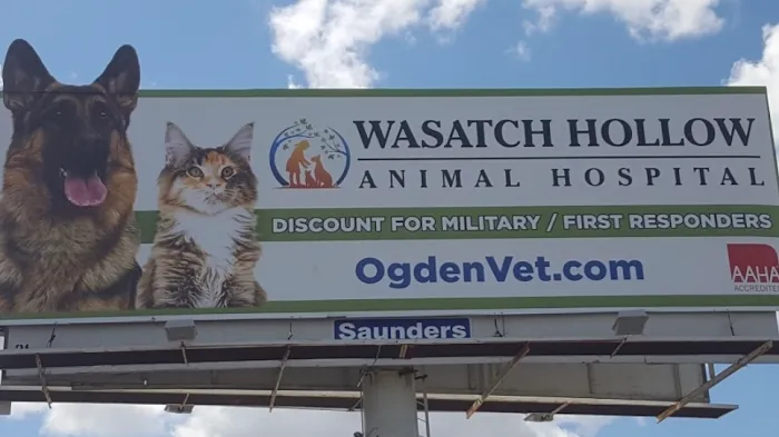 Wasatch Hollow Animal Hospital 8