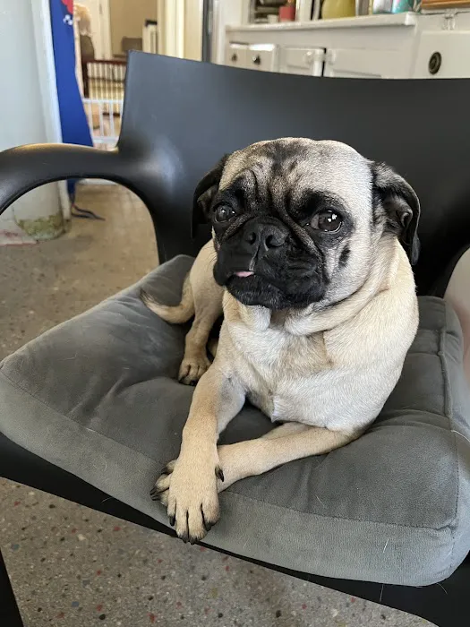 TLC Pet Care 2