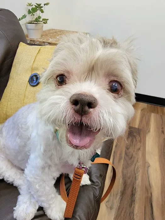 TLC Pet Care 3