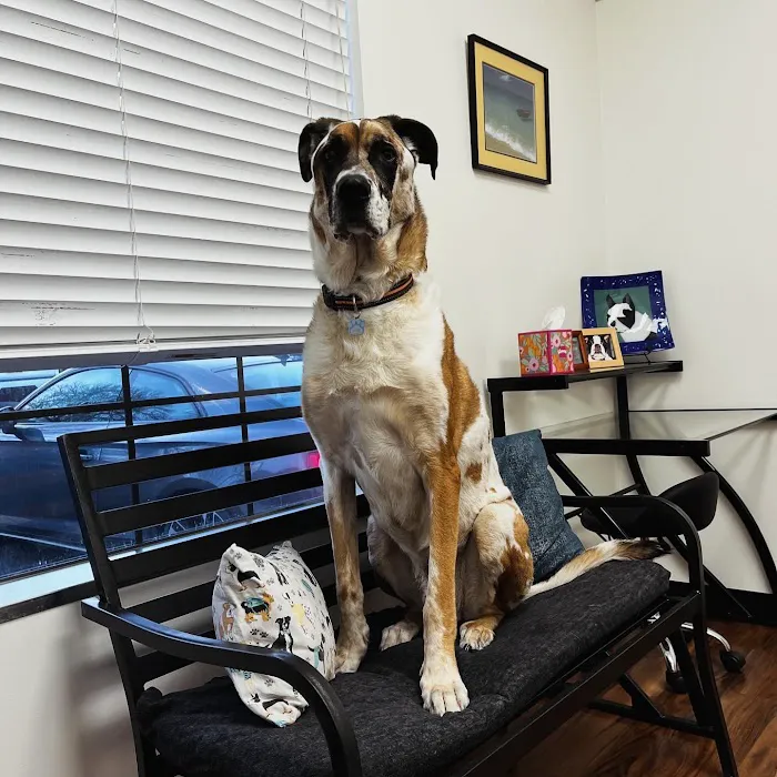 TLC Pet Care 9