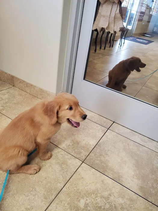 Animal Care Roy Veterinary Hospital 6