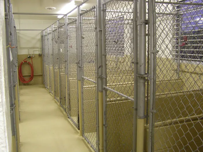 Animal Care Roy Veterinary Hospital 10