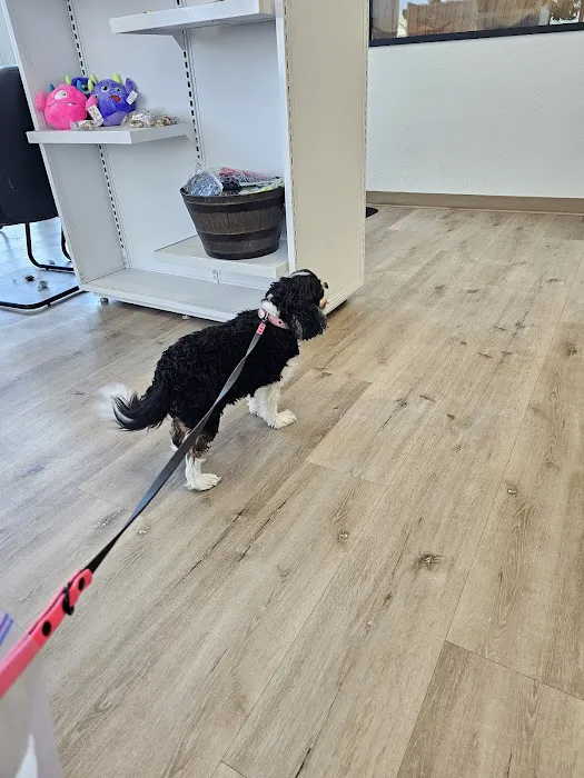 Pro Pet Care 8