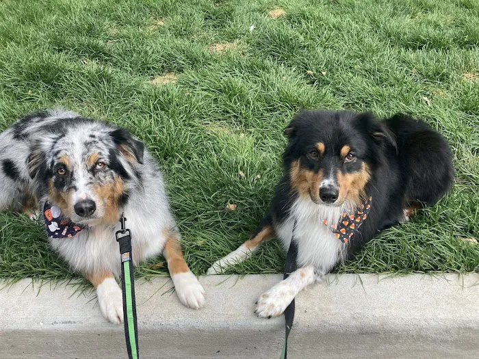 Pro Pet Care 9