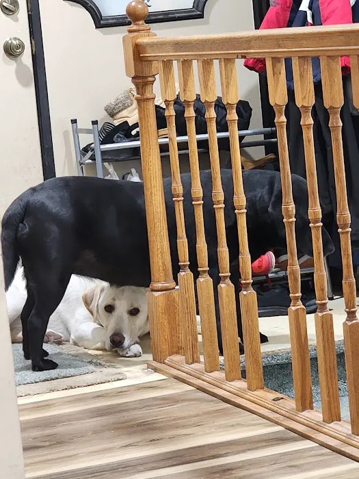 Pro Pet Care 6
