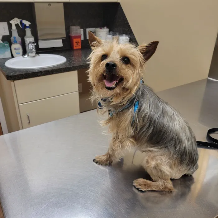 Animal Care Veterinary Hospitals - West Haven 5